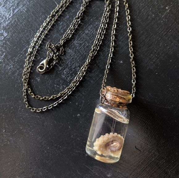 Real Octopus Tentacle Necklace 